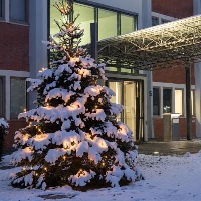 Eingang des Bundespatentgerichts im Winter mit Weihnachtsbaum und Schnee Eingang des Bundespatentgerichts im Winter mit Weihnachtsbaum und Schnee